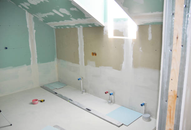 Best Mold Damage Restoration  in Keedysville, MD