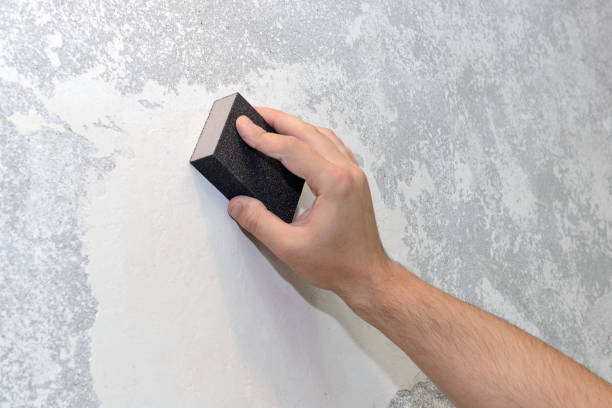 Best Biohazard Mold Removal  in Keedysville, MD