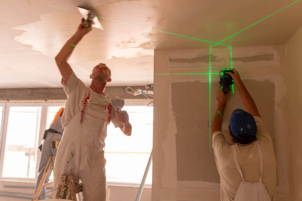 Best Attic Mold Removal  in Keedysville, MD
