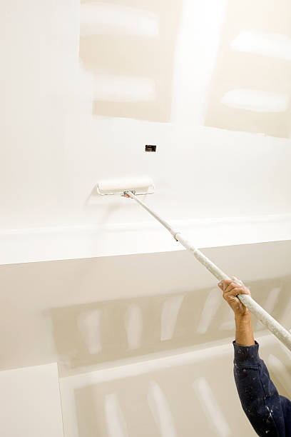 Best Real Estate Mold Inspection  in Keedysville, MD