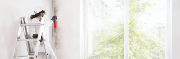  Keedysville, MD Mold Removal Pros