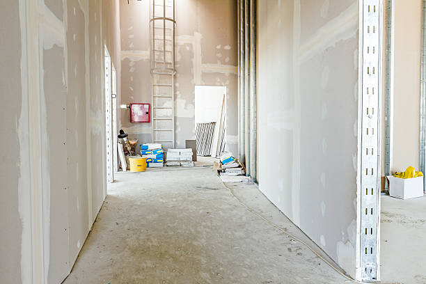 Best Comprehensive Air Testing for Mold Contaminants  in Keedysville, MD