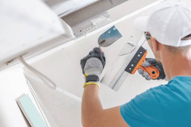Best HVAC Mold Inspection and Cleaning  in Keedysville, MD